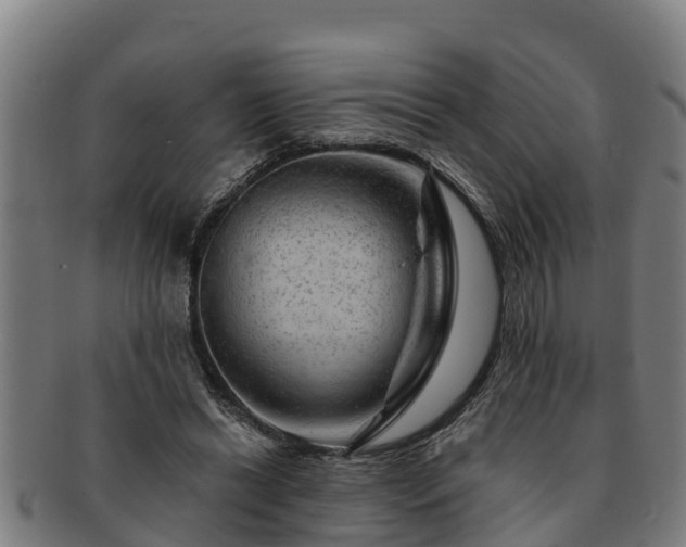 X0000091720446200708311142