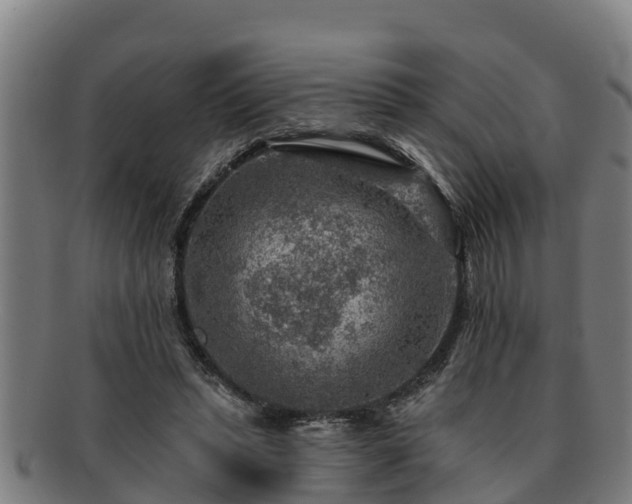 X0000091720447200708311142