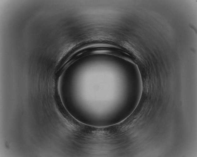 X0000091720448200708311142