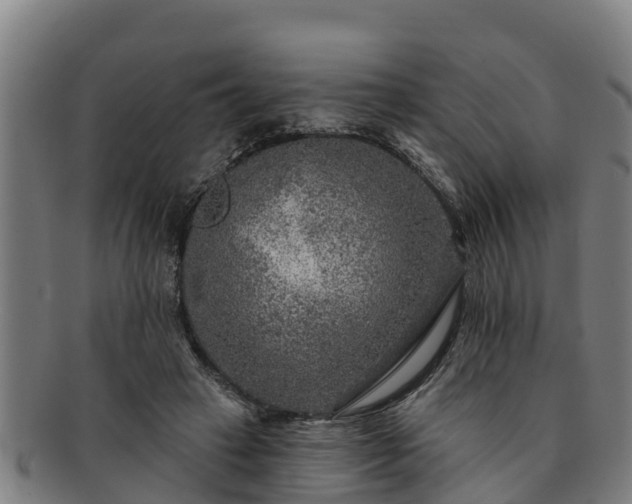 X0000091720449200708311142