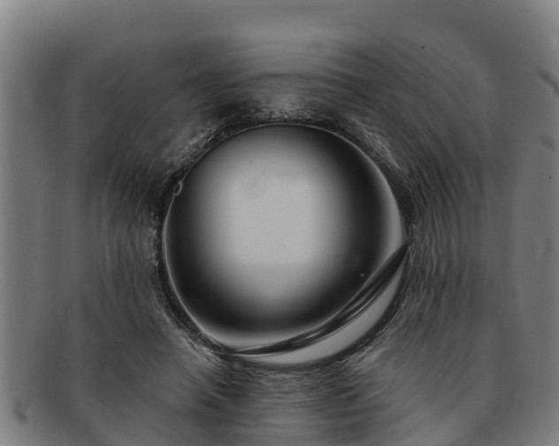 X0000091720450200708311142