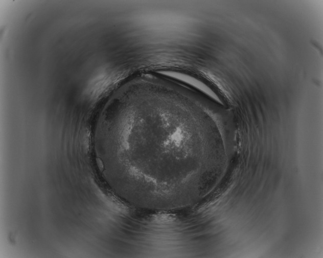 X0000091720451200708311142