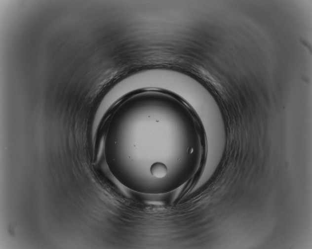 X0000091720452200708311142