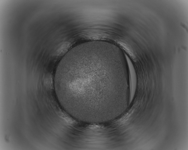 X0000091720453200708311142