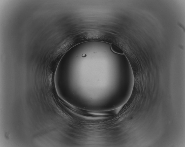 X0000091720454200708311142