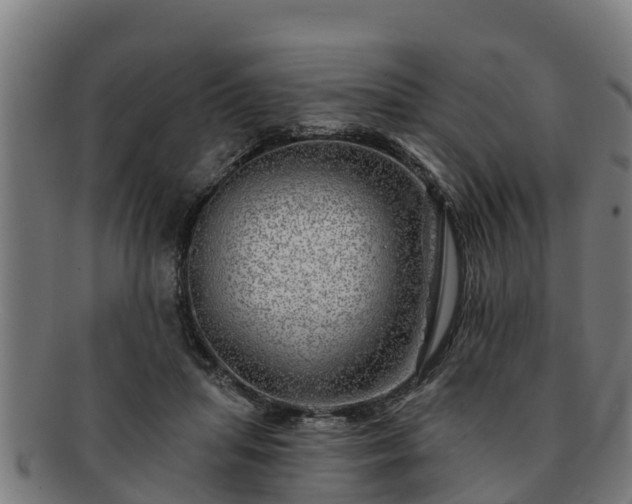 X0000091720455200708311142