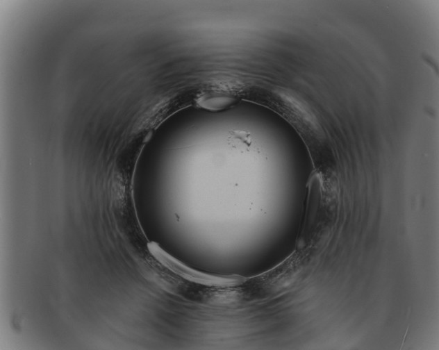 X0000091720456200708311142