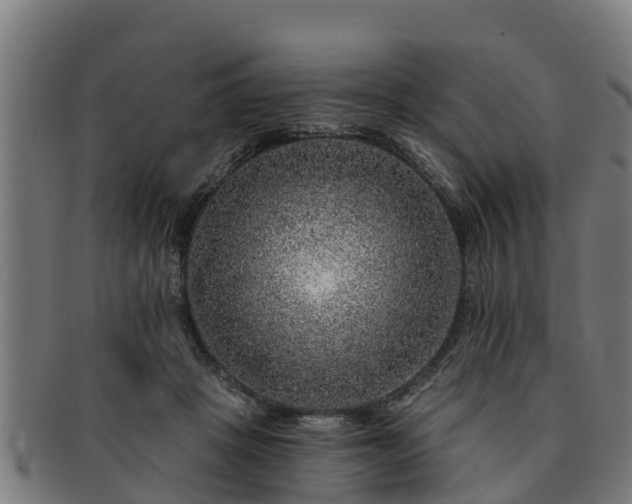 X0000091720457200708311142