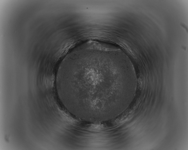 X0000091720458200708311142