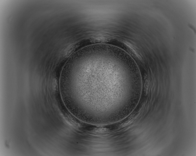 X0000091720459200708311142