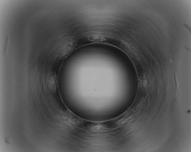 X0000091720460200708311142