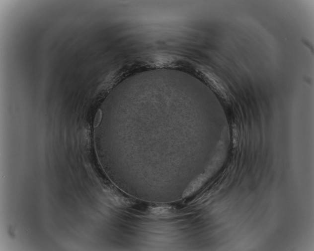 X0000091720461200708311142