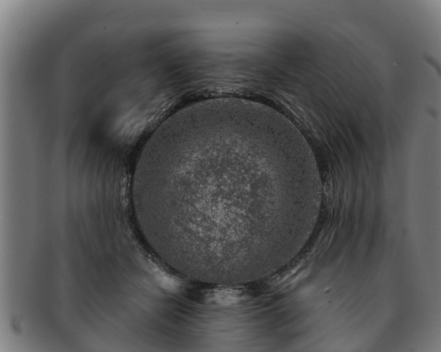 X0000091720462200708311143