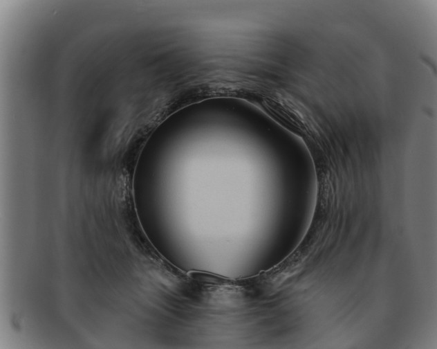 X0000091720463200708311143