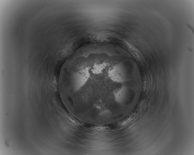 X0000091720465200708311143