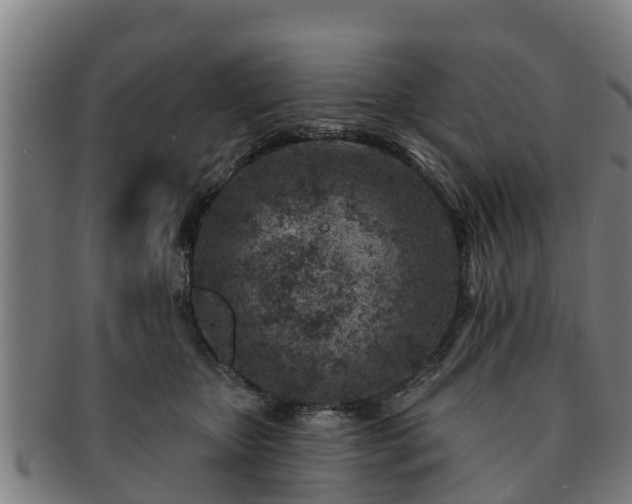 X0000091720467200708311143