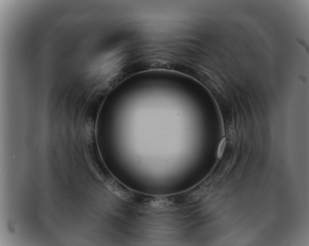 X0000091720468200708311143