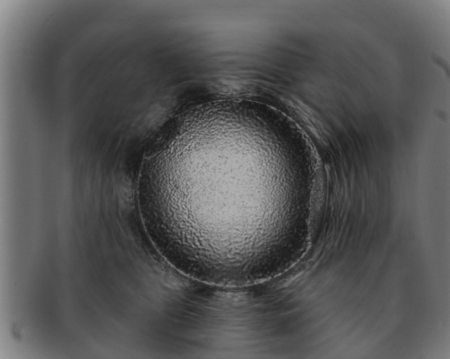 X0000091720469200708311143