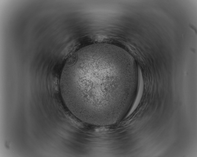 X0000091720470200708311143