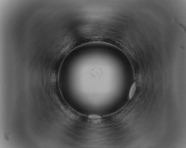 X0000091720472200708311143