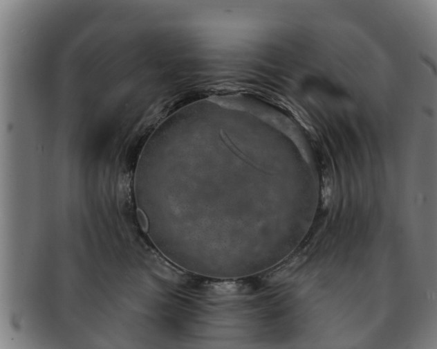 X0000091720473200708311143