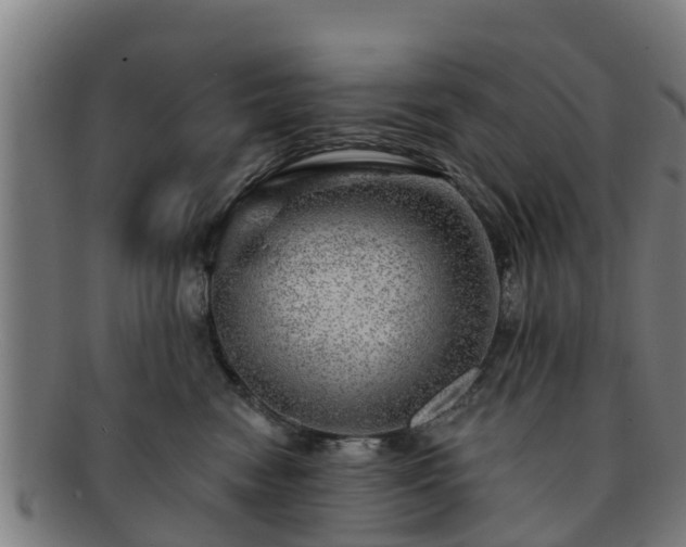 X0000091720474200708311143