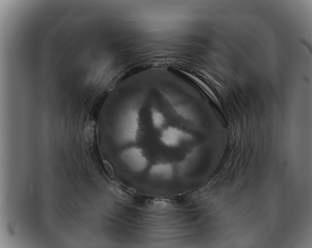 X0000091720475200708311143