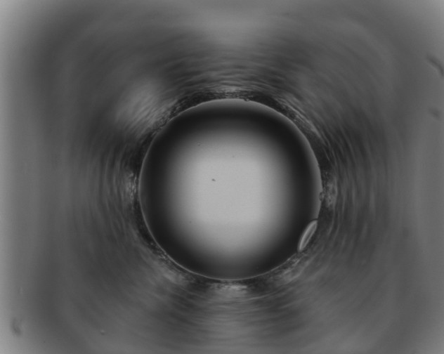 X0000091720476200708311143