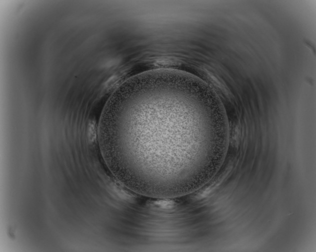 X0000091720478200708311143