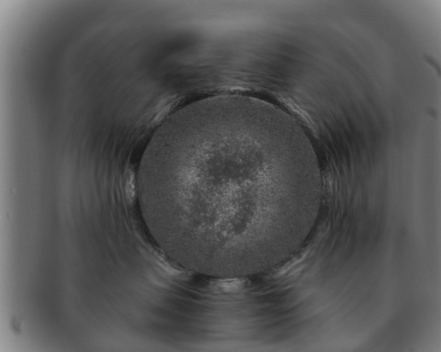 X0000091720479200708311143