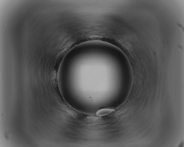 X0000091720480200708311143