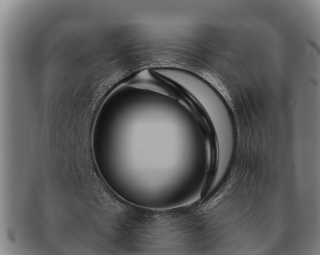 X0000091720481200708311142