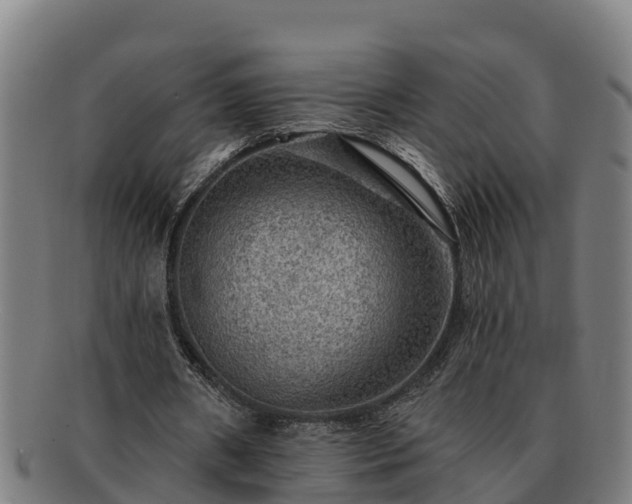 X0000091720482200708311142