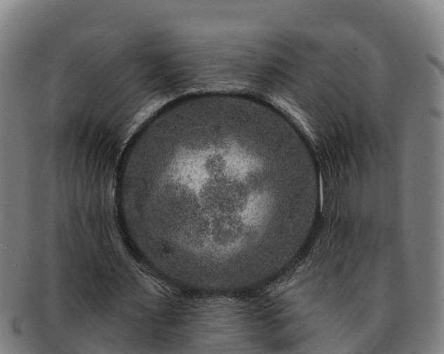 X0000091720483200708311142