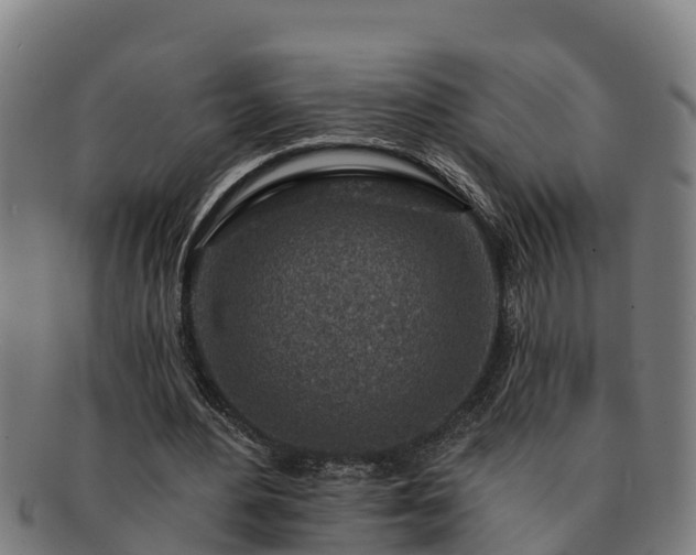 X0000091720484200708311142