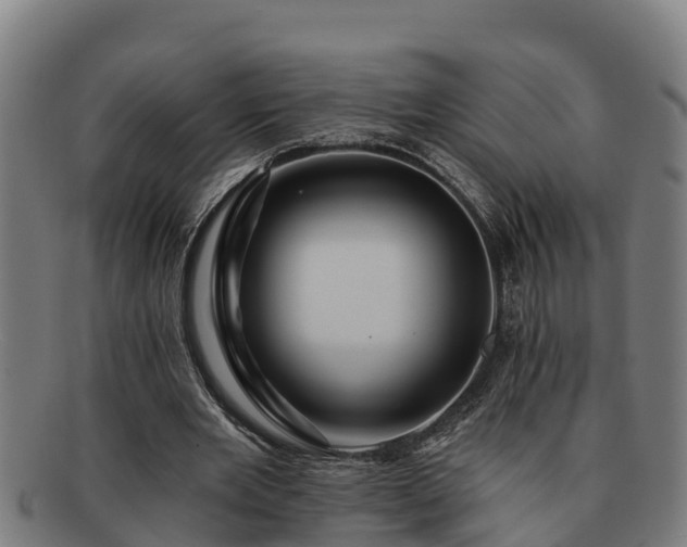 X0000091720485200708311142