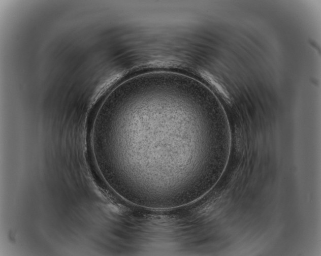 X0000091720486200708311142