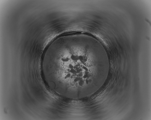 X0000091720487200708311142