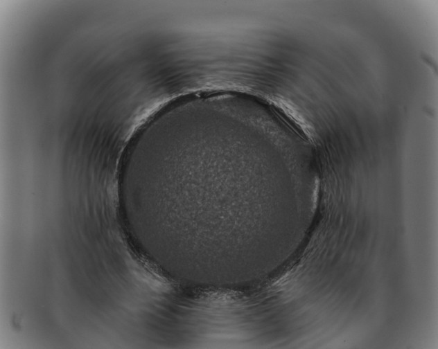 X0000091720488200708311142