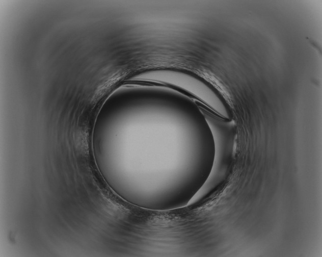 X0000091720489200708311142