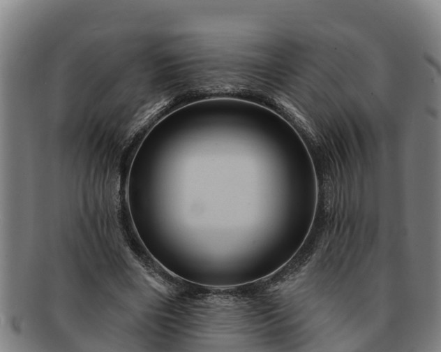 X0000091720490200708311142