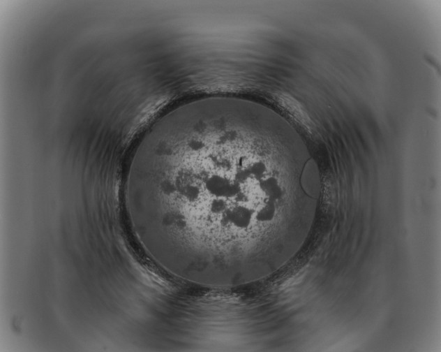 X0000091720491200708311142