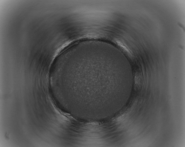 X0000091720492200708311142