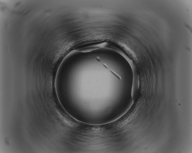 X0000091720493200708311142