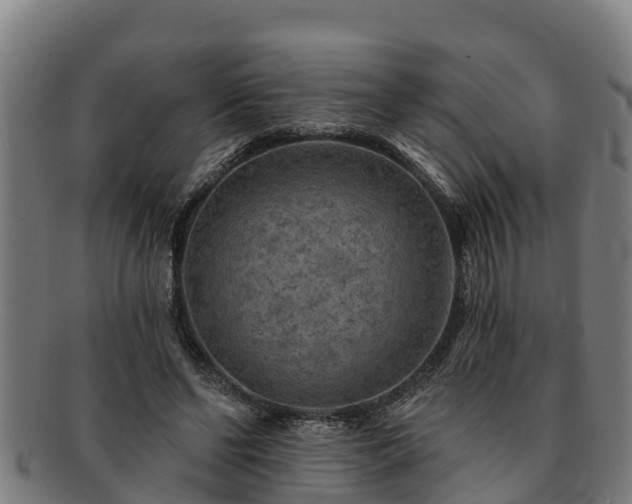 X0000091720494200708311142