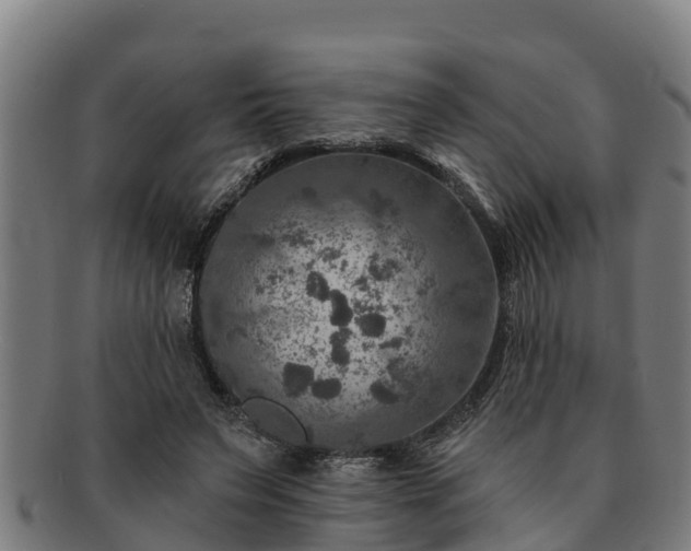 X0000091720495200708311142