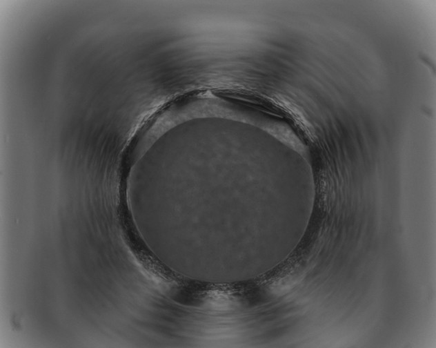 X0000091720496200708311142