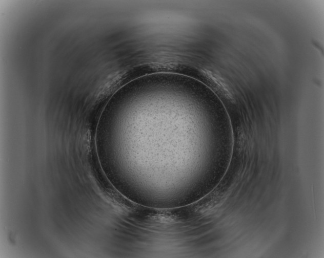 X0000091720498200708311142