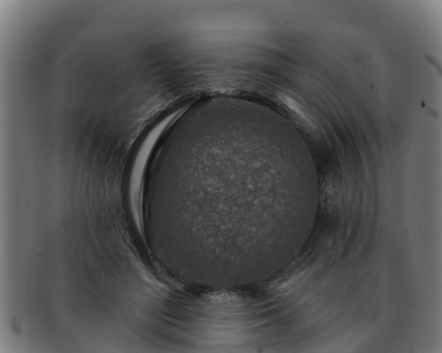 X0000091720500200708311142