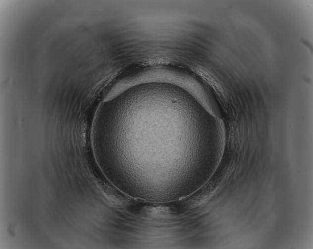 X0000091720501200708311142